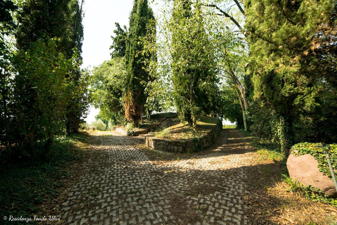 Residenza Fondo Ulivi Villa Ponti sul Mincio Eksteriør bilde